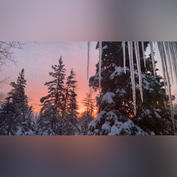 Alaska - Picture 6 of 14